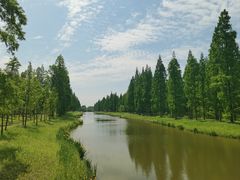 -黄海国家森林公园