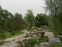 -武清南湖绿博园