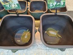 -烹湘·鲜炒湖南土菜(海珠店)