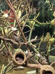 -Zoolung Zoolung动物主题公园(海信广场店)