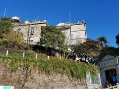 -上海佘山国家森林公园西佘山园