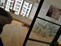 -Union瑜伽健康管理中心