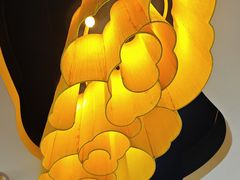 -云中小雅