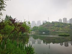 -重庆彩云湖湿地公园