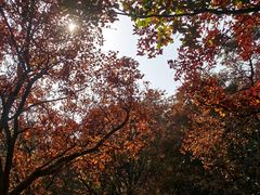 -虞山风景区