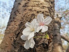 -上海体育场(地铁站)