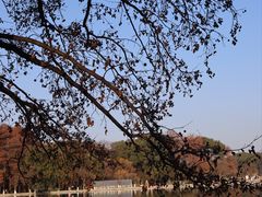 -东湖生态旅游风景区