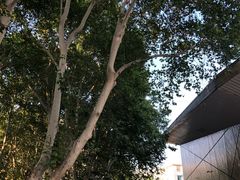 -五台山游泳馆