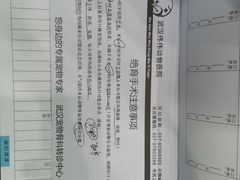 -伟伟宠物医院·CT影像中心·瑞派犬猫综合性门诊(汉口总院)