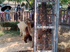 -石家庄市动物园