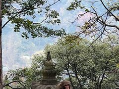 -黔灵山公园