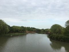 -自然谷恐龙园
