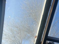 -VOYAGE COFFEE(北锣鼓巷店)