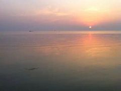 -湖鲜楼