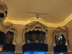 -佐度王子扒房(天鹅湖店)