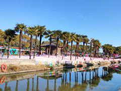 -苏州太湖西山岛开心农场