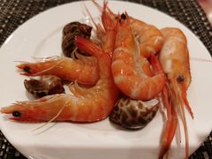 -元一希尔顿酒店·禅自助餐厅·啤酒花园