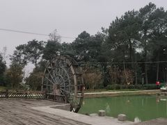 -铁山坪森林公园