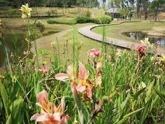 -白鹭湾湿地公园