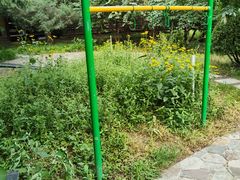 -南长河公园
