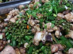 -铁山坪森林公园