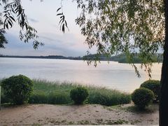-丁香湖公园
