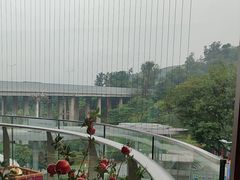 -点都德(广州白云山景区南门店)