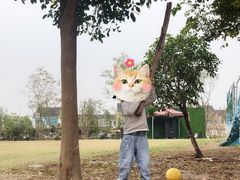 -鹅湖玫瑰文化园