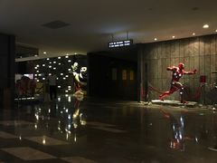 -武商摩尔影城(国广IMAX激光店)