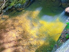 -藏龙百瀑风景区