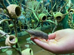 -Zoolung Zoolung动物主题公园(海信广场店)