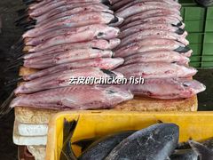 -尼甘布海鲜市场