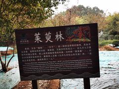 -东湖落雁景区