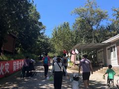 -北京鹫峰国家森林公园