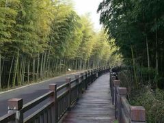 -游子山休闲旅游区