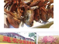 -莲花公园煎蟹(总店)