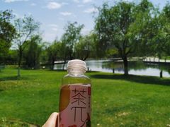 -院士公园