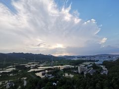 -美的鹭湖森林度假区
