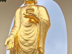 -庐山风景名胜区-东林大佛