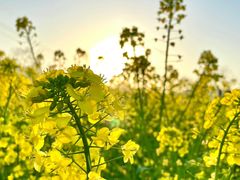 -中国天府农业博览园