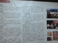 -紫竹院公园冰场