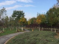 -永定河休闲森林公园