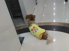 -芭比堂动物医院(广州爱宠下渡路分院)