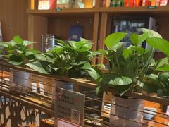 -云海肴·汽锅鸡·云南菜(苏州中心店)