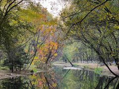 -长白岛森林公园