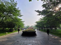 -堤角公园