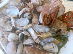 -港畔赶海蒸汽海鲜烧烤自助(仙螺岛店)