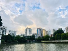 -新湖明珠城