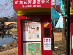 -荷兰花海