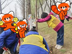 -滨湖塘西河公园